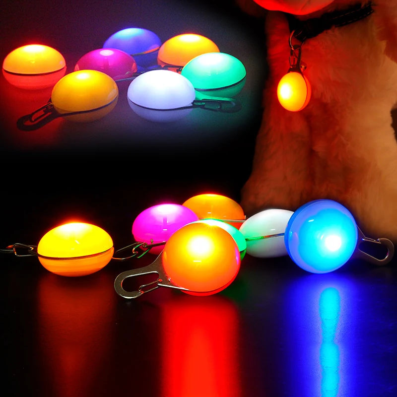Tailmere LED Safety Collar Light — Keep Your Pet Visible at Night